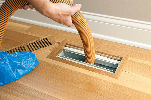 Air Duct Mold Removal in Sprague, WV